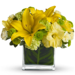 firewood,plants,birding,pets,pots,flowers,gifts,delivery,wisconsin,bayside