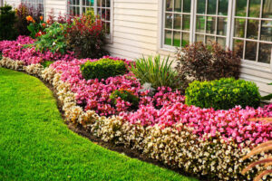 birdhouses,soils,dried,best fertilizer,florist,ornaments,trees,plants,grass,seed,sprinklers