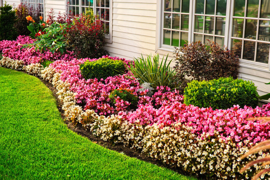 birdhouses,soils,dried,best fertilizer,florist,ornaments,trees,plants,grass,seed,sprinklers