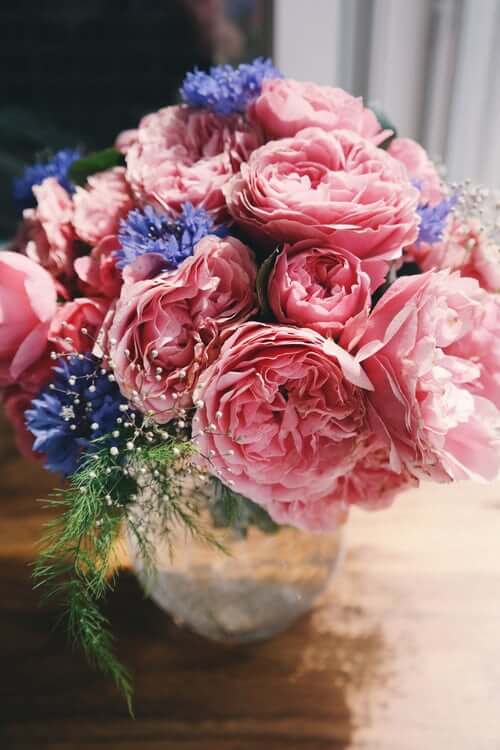 Beautiful pink flowers