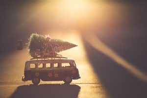 Taking Christmas tree on a van