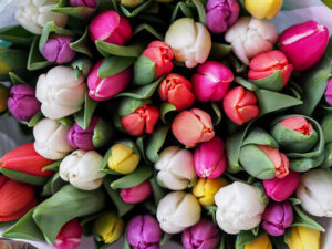 Beautiful fresh flowers