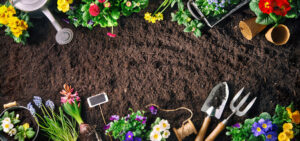 Soil bed is ready to plant