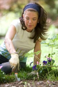 Planting flowers