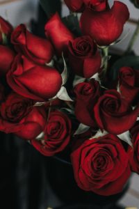 A bouquet of beautiful red roses